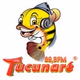 Rádio Tucunaré 89,3 FM logo