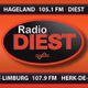Radio Diest logo
