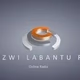 IZWI LABANTU FM logo