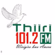 Thiiri 101.2FM logo