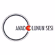 Anadolunun Sesi Radyosu logo