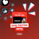 EHR TikTok Hits logo