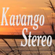 Kavango Stereo logo