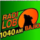 Radio Lobo Bajio - XESAG logo