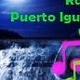 Radio Puerto Iguazu WiFi logo