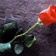 LA Radio Romantica logo