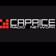 Radio Caprice - Russian Folk logo
