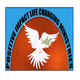 Positive Impact Radio (PIR) logo
