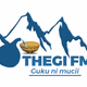 THEGI FM logo