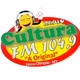Rádio Cultura FM 104,9 logo