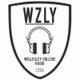 WZLY 91.5 FM - WZLY logo