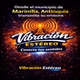 Vibración Estéreo logo