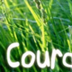 Webradio Courant logo