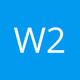 W299AN logo